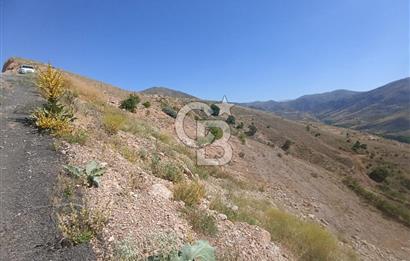 COLDWELL BANKER SAFİR'den MULLAKASIM da 6396m² VİLLA İMARLI ARSA