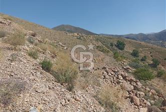 COLDWELL BANKER SAFİR'den MULLAKASIM da 6396m² VİLLA İMARLI ARSA - 3 - 357154