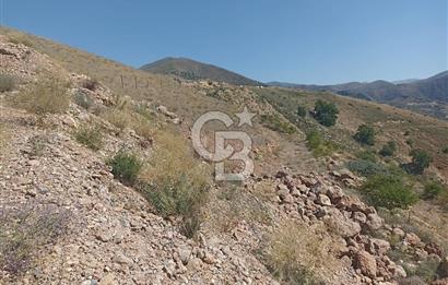 COLDWELL BANKER SAFİR'den MULLAKASIM da 6396m² VİLLA İMARLI ARSA