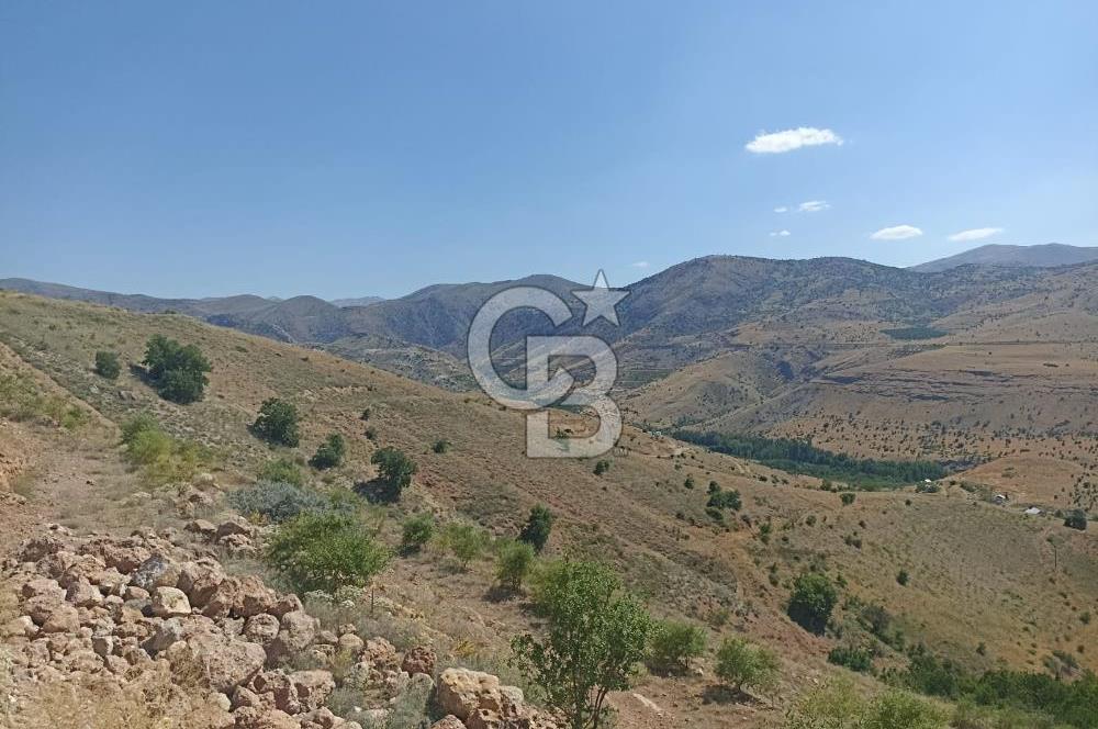 COLDWELL BANKER SAFİR'den MULLAKASIM da 6396m² VİLLA İMARLI ARSA