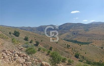 COLDWELL BANKER SAFİR'den MULLAKASIM da 6396m² VİLLA İMARLI ARSA