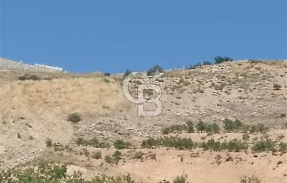 COLDWELL BANKER SAFİR'den MULLAKASIM da 6396m² VİLLA İMARLI ARSA