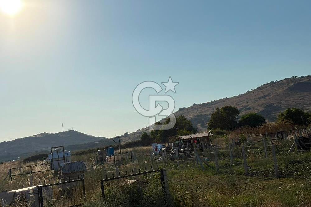 İZMİR DİKİLİ İSMETPAŞA’DA YATIRIMLIK TARLA
