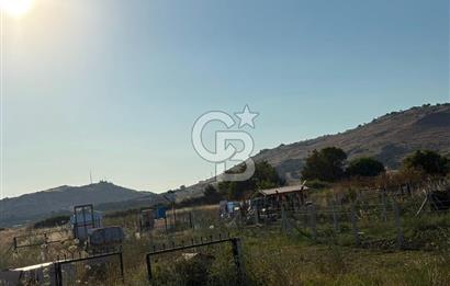 İZMİR DİKİLİ İSMETPAŞA’DA YATIRIMLIK TARLA