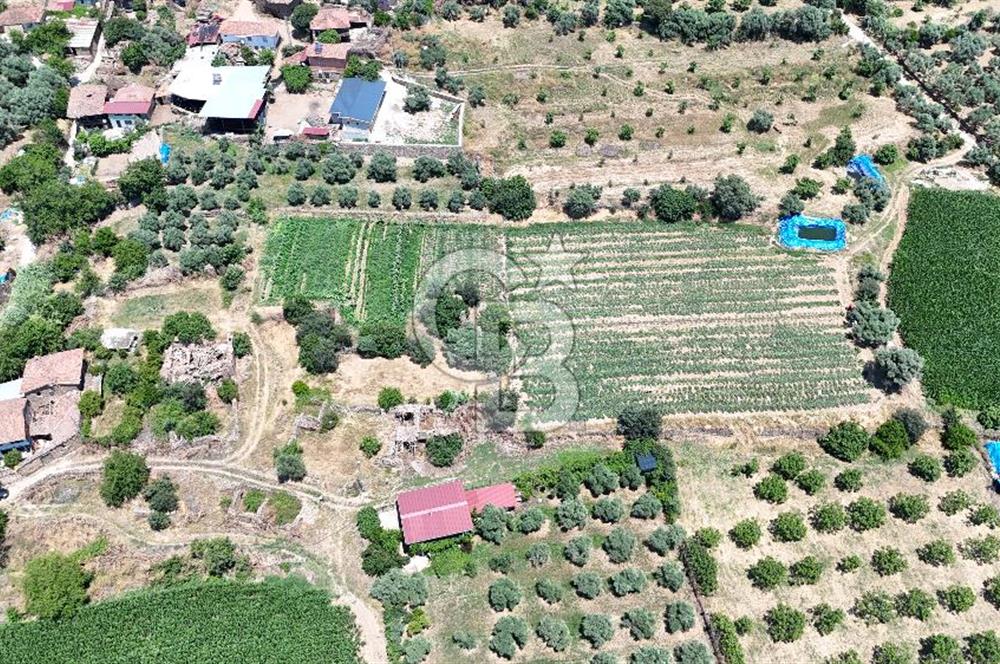 MUSELAND - Birgi'de Yapı İzinli & Altyapılı 5.665 m² Kupon Tarla