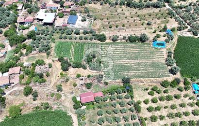 MUSELAND - Birgi'de Yapı İzinli & Altyapılı 5.665 m² Kupon Tarla