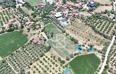 MUSELAND - Birgi'de Yapı İzinli & Altyapılı 5.665 m² Kupon Tarla