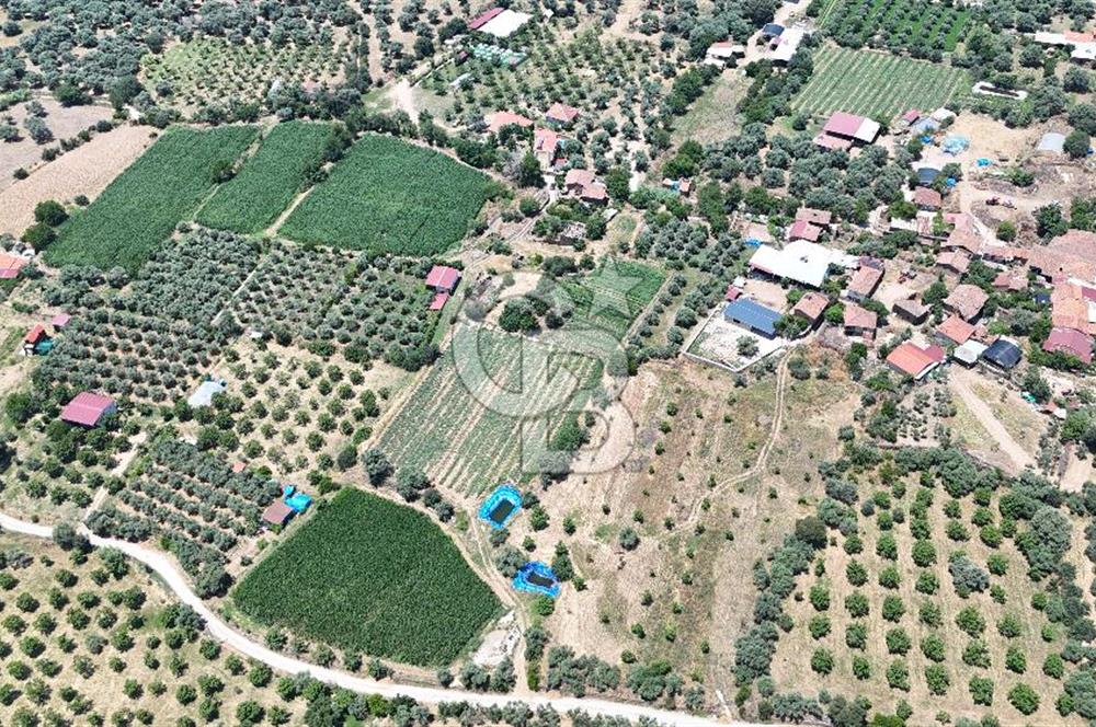 MUSELAND - Birgi'de Yapı İzinli & Altyapılı 5.665 m² Kupon Tarla