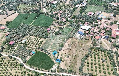 MUSELAND - Birgi'de Yapı İzinli & Altyapılı 5.665 m² Kupon Tarla