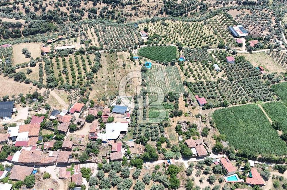 MUSELAND - Birgi'de Yapı İzinli & Altyapılı 5.665 m² Kupon Tarla