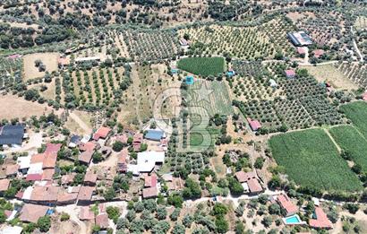 MUSELAND - Birgi'de Yapı İzinli & Altyapılı 5.665 m² Kupon Tarla