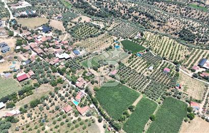 MUSELAND - Birgi'de Yapı İzinli & Altyapılı 5.665 m² Kupon Tarla