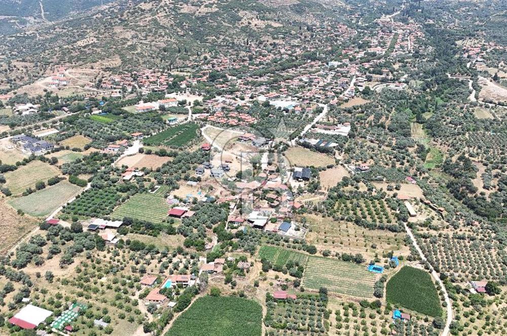 MUSELAND - Birgi'de Yapı İzinli & Altyapılı 5.665 m² Kupon Tarla