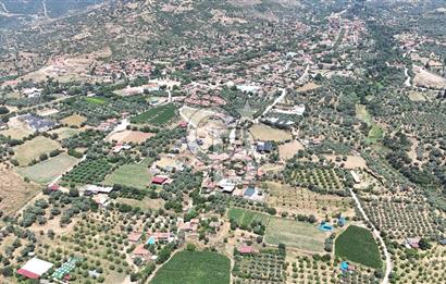 MUSELAND - Birgi'de Yapı İzinli & Altyapılı 5.665 m² Kupon Tarla