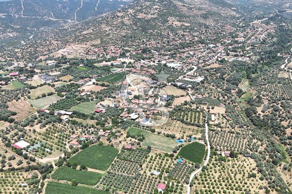 MUSELAND - Birgi'de Yapı İzinli & Altyapılı 5.665 m² Kupon Tarla