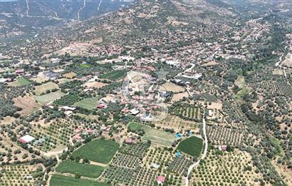 MUSELAND - Birgi'de Yapı İzinli & Altyapılı 5.665 m² Kupon Tarla