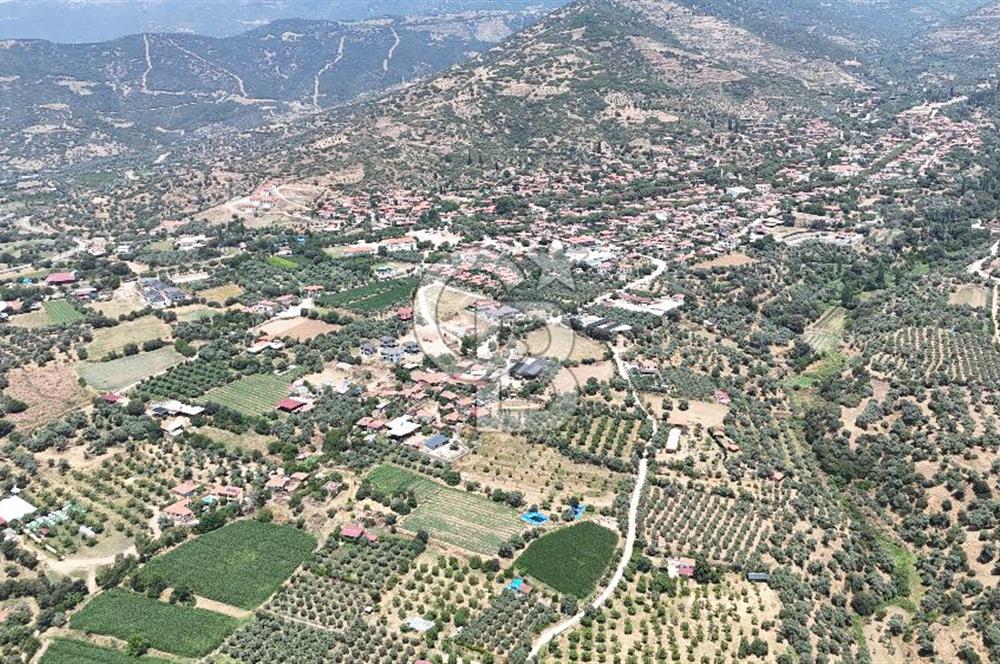 MUSELAND - Birgi'de Yapı İzinli & Altyapılı 5.665 m² Kupon Tarla