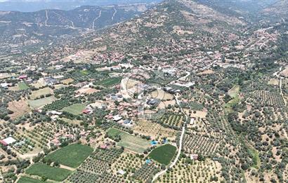 MUSELAND - Birgi'de Yapı İzinli & Altyapılı 5.665 m² Kupon Tarla
