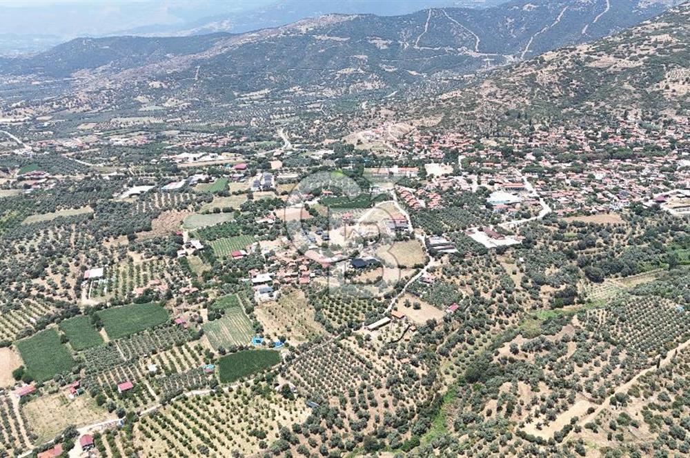 MUSELAND - Birgi'de Yapı İzinli & Altyapılı 5.665 m² Kupon Tarla