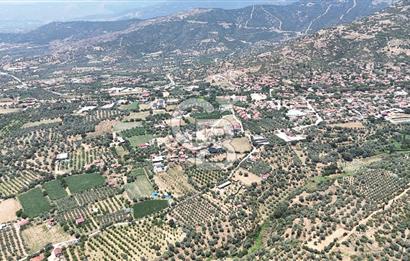 MUSELAND - Birgi'de Yapı İzinli & Altyapılı 5.665 m² Kupon Tarla