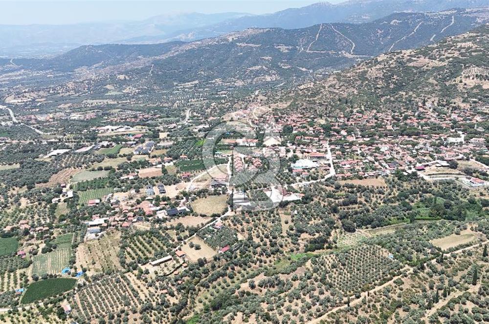 MUSELAND - Birgi'de Yapı İzinli & Altyapılı 5.665 m² Kupon Tarla
