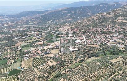 MUSELAND - Birgi'de Yapı İzinli & Altyapılı 5.665 m² Kupon Tarla