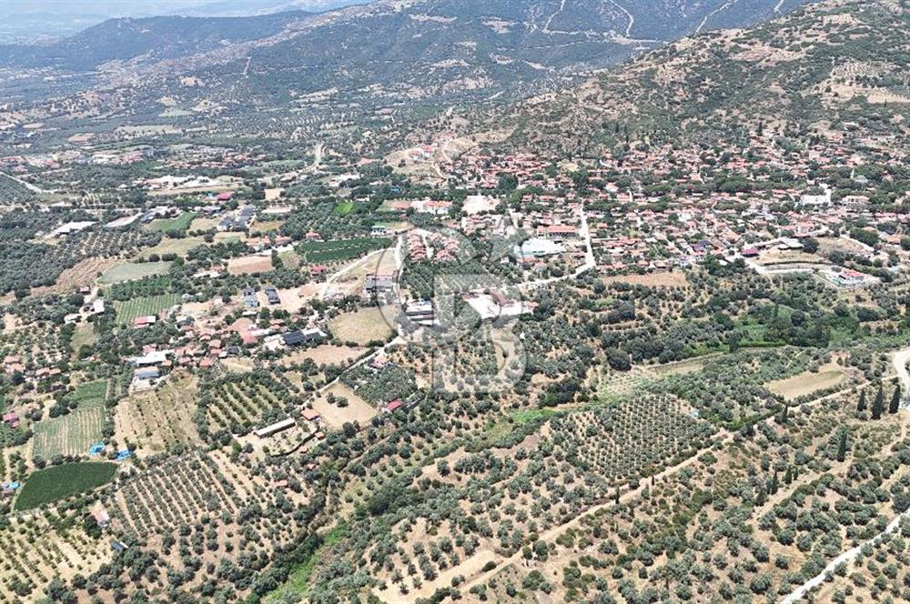 MUSELAND - Birgi'de Yapı İzinli & Altyapılı 5.665 m² Kupon Tarla