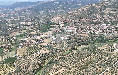 MUSELAND - Birgi'de Yapı İzinli & Altyapılı 5.665 m² Kupon Tarla