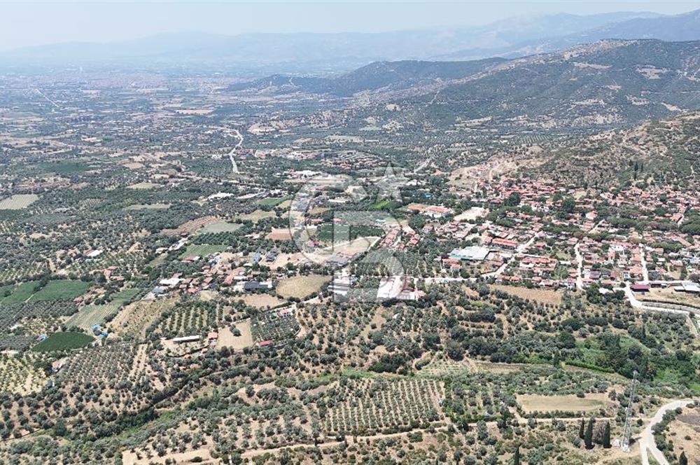 MUSELAND - Birgi'de Yapı İzinli & Altyapılı 5.665 m² Kupon Tarla