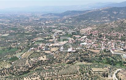 MUSELAND - Birgi'de Yapı İzinli & Altyapılı 5.665 m² Kupon Tarla