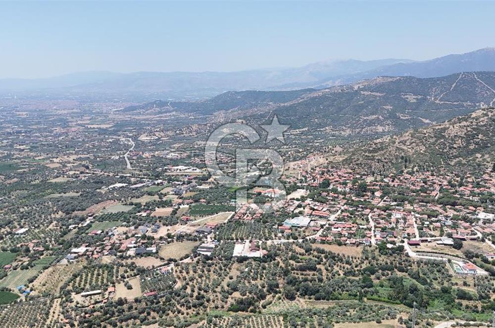 MUSELAND - Birgi'de Yapı İzinli & Altyapılı 5.665 m² Kupon Tarla