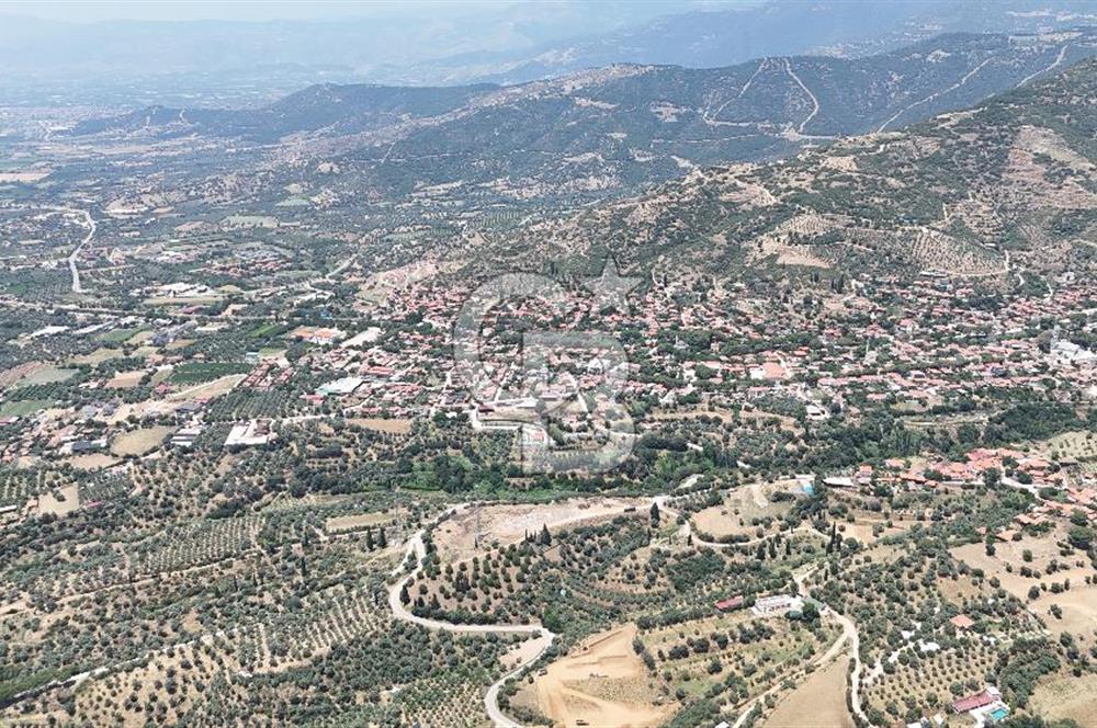 MUSELAND - Birgi'de Yapı İzinli & Altyapılı 5.665 m² Kupon Tarla