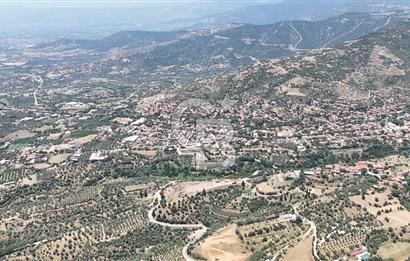 MUSELAND - Birgi'de Yapı İzinli & Altyapılı 5.665 m² Kupon Tarla