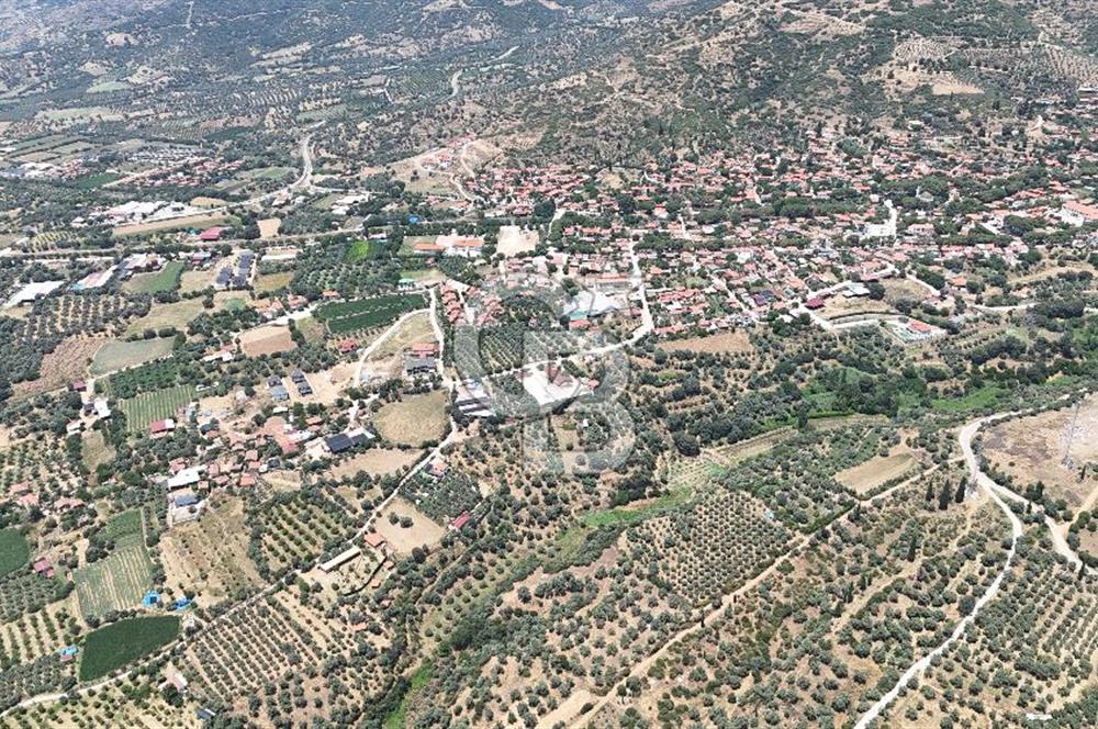 MUSELAND - Birgi'de Yapı İzinli & Altyapılı 5.665 m² Kupon Tarla
