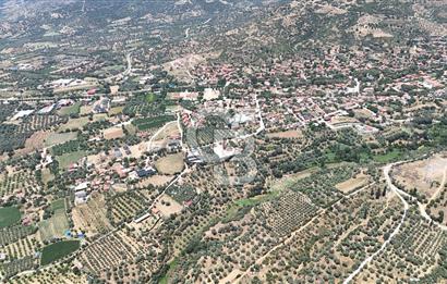 MUSELAND - Birgi'de Yapı İzinli & Altyapılı 5.665 m² Kupon Tarla