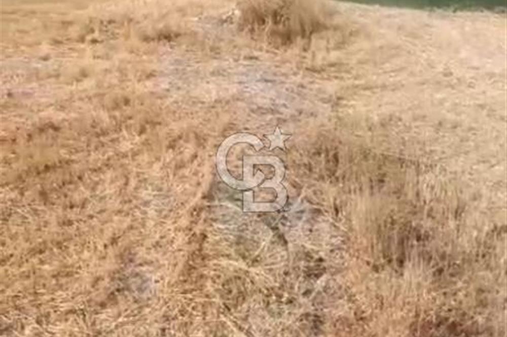 Kutahya merkezde koy yerlesik alaninda 557 m2 arsa