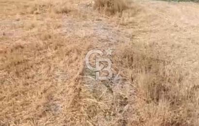 Kutahya merkezde koy yerlesik alaninda 557 m2 arsa