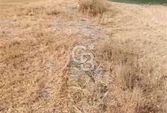 Kutahya merkezde koy yerlesik alaninda 557 m2 arsa - 1 - 357217