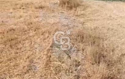 Kutahya merkezde koy yerlesik alaninda 557 m2 arsa