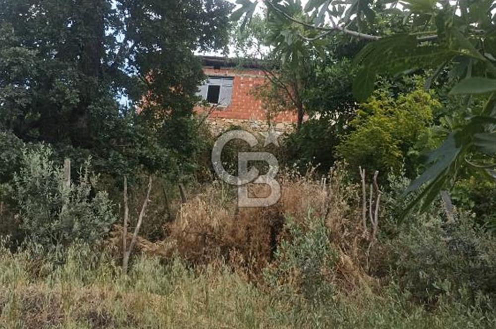 1244 m2 izmir bergama ürkütler köyünde imarlı arsa