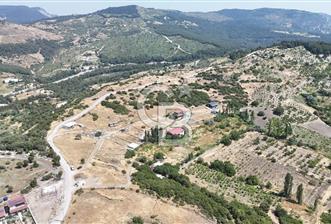 İzmir Bornova Beşyol da Yatırımlık Satılık 551 m2 Hisseli Tarla - 1 - 357220