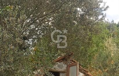 1244 m2 izmir bergama ürkütler köyünde imarlı arsa