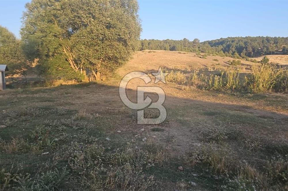 Altintas saraycikta imar dibi arazi