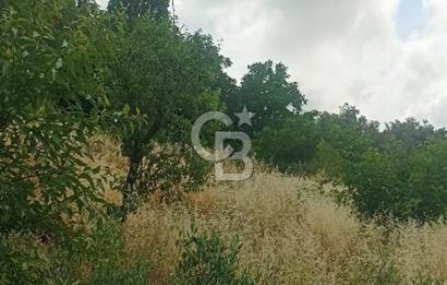 1244 m2 izmir bergama ürkütler köyünde imarlı arsa
