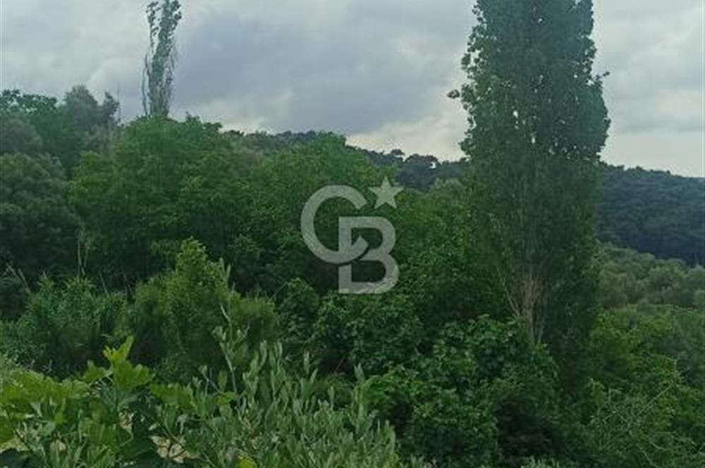 1244 m2 izmir bergama ürkütler köyünde imarlı arsa