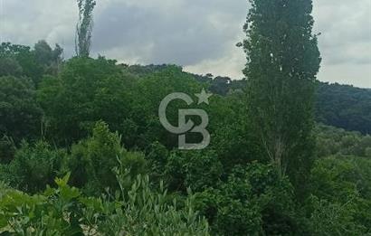 1244 m2 izmir bergama ürkütler köyünde imarlı arsa