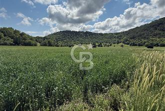 Ana yola 1 parsel mesafede kadastral yola cephe - 2 - 357216