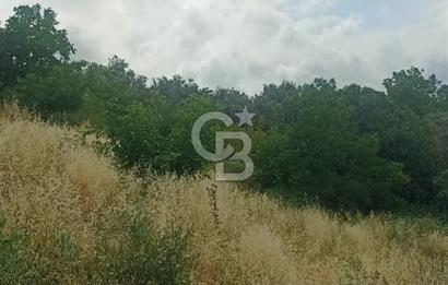 1244 m2 izmir bergama ürkütler köyünde imarlı arsa