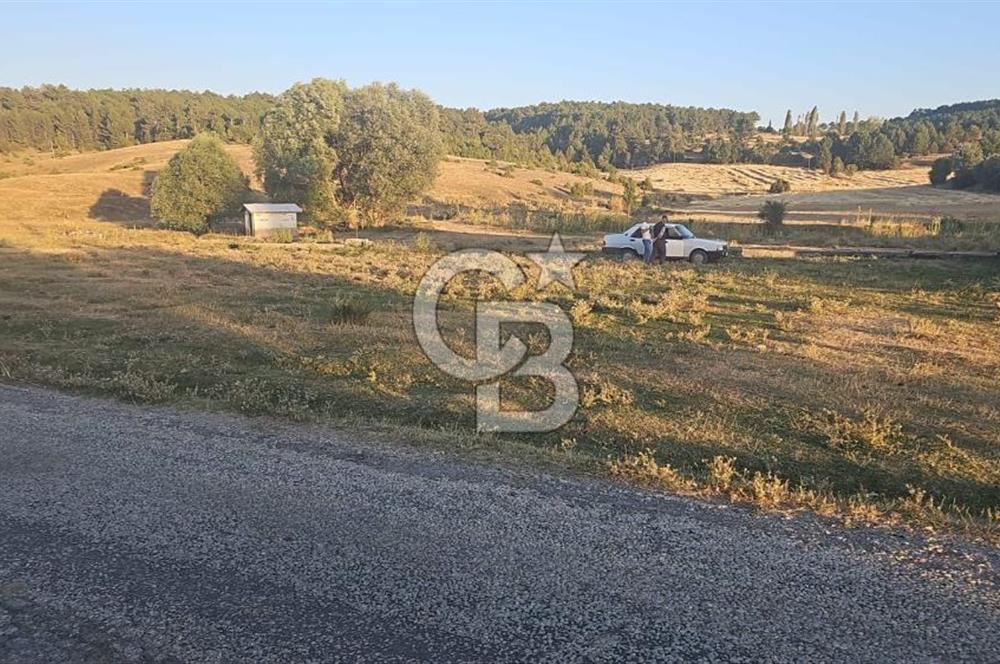 Altintas saraycikta imar dibi arazi