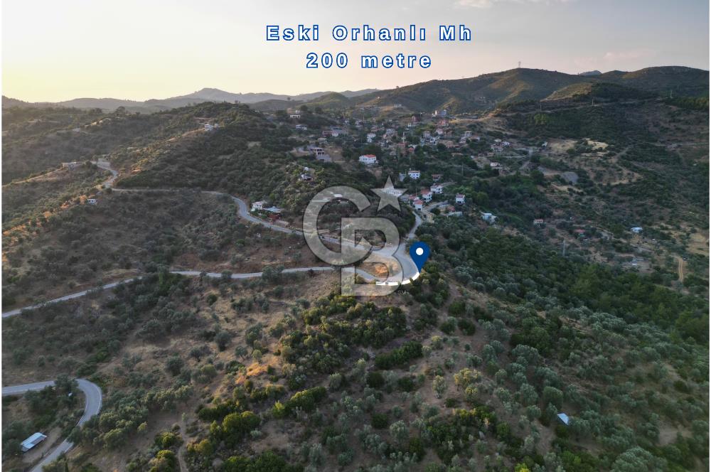 Orhanlı Köyünde Fırsat Konumda 10.550m2 Zeytin Ağaçlı Tarla